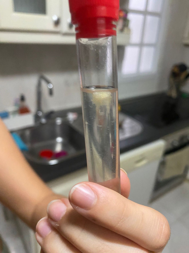 Descubriendo la biología en acción: extracción de ADN en el laboratorio