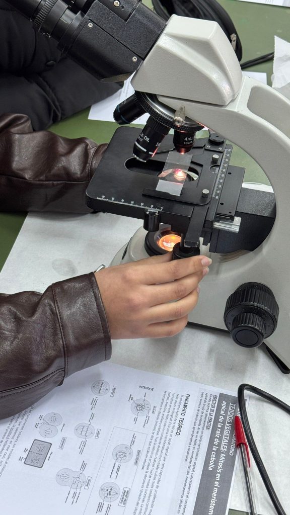 El alumnado de 2.º de Bachillerato explora la división celular en el laboratorio