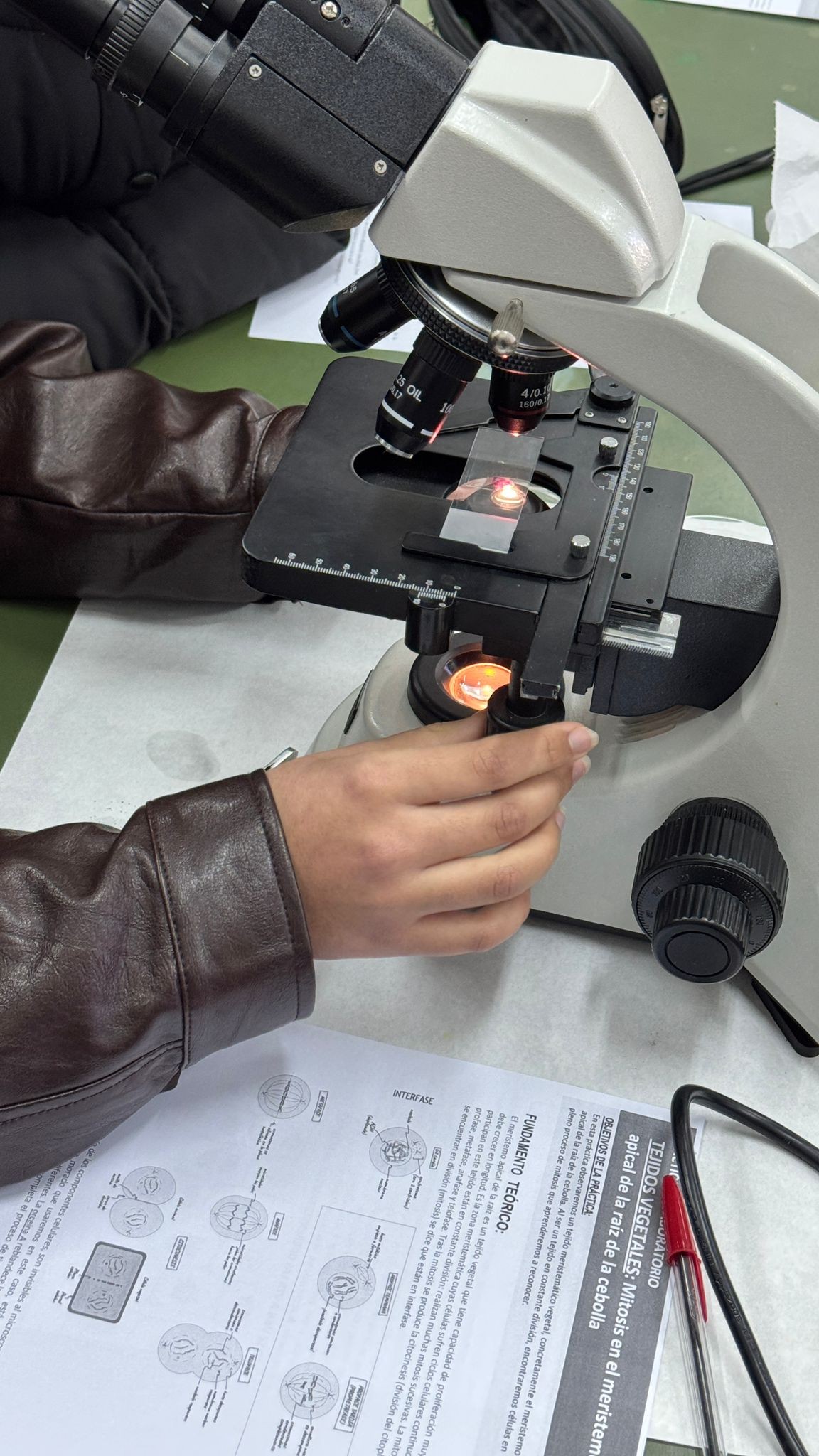 El alumnado de 2.º de Bachillerato explora la división celular en el laboratorio