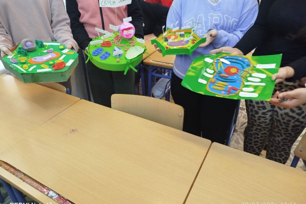 🔬 🧠 Del aula a la realidad: el alumnado de 1º ESO crea células en 3D